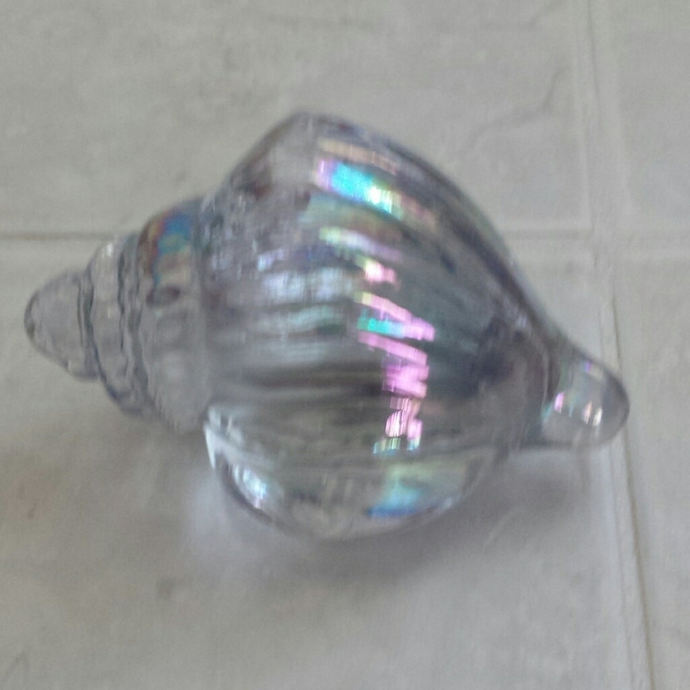Iridescent Shell Decor - Picture 4 of 9